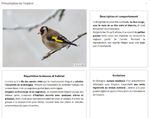 Bilan régional 2022 Comptage des oiseaux des jardins Bretagne - Opération coordonnée par les associations Bretagne Vivante & Géoca. En partenariat ...