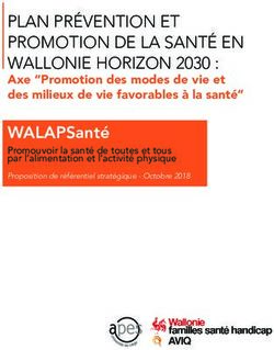 WALAPSanté PLAN PRÉVENTION ET PROMOTION DE LA SANTÉ EN WALLONIE HORIZON 2030 : Santé wallon
