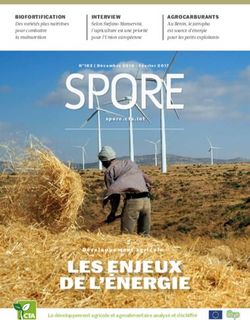 LES ENJEUX DE L'ÉNERGIE - Développement agricole Le développement agricole et agroalimentaire analysé et déchiffré - CGSpace