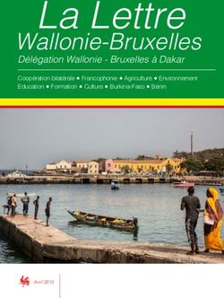 La Lettre Wallonie-Bruxelles - D&eacute;l&eacute;gation Wallonie - Bruxelles &agrave; Dakar - Wallonie-Bruxelles ...