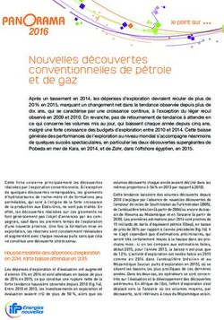 Nouvelles découvertes conventionnelles de pétrole et de gaz