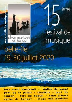 Festival de musique - Plage ...