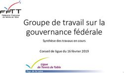 Groupe de travail sur la gouvernance fédérale - Synthèse des travaux en cours Conseil de ligue du 16 février 2019 - Ligue des ...