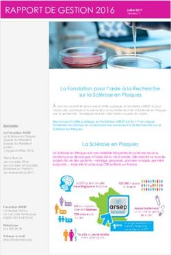 RAPPORT DE GESTION 2016 - Arsep