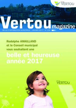 Vertoumagazine belle et heureuse année 2017 - Rodolphe AMAILLAND et le Conseil municipal vous souhaitent une