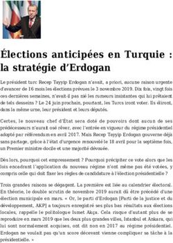 &Eacute;lections anticip&eacute;es en Turquie : la strat&eacute;gie d'Erdogan - Reforme.net