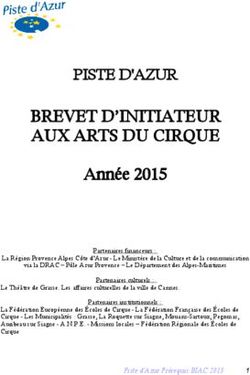 BREVET D'INITIATEUR AUX ARTS DU CIRQUE - Année 2015
