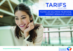 TARIFS TOUTES LES SOLUTIONS TÉLÉPHONIE, INTERNET, RÉSEAUX ET CLOUD - JUILLET 2018 - Bouygues Telecom Entreprises