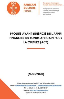 PROJETS AYANT BÉNÉFICIÉ DE L'APPUI FINANCIER DU FONDS AFRICAIN POUR LA CULTURE (ACF) - The African Culture Fund