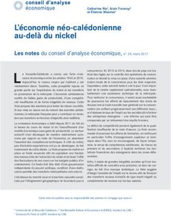 L'&eacute;conomie n&eacute;o-cal&eacute;donienne au-del&agrave; du nickel - Conseil d'analyse &eacute;conomique