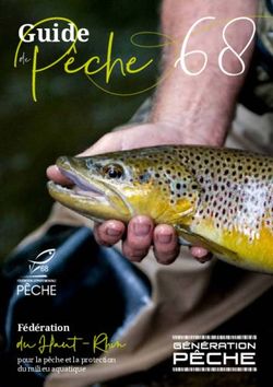 68 Pêche - du Haut - Rhin - Fédération de Pêche du Haut-Rhin