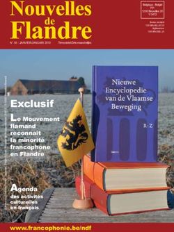 Exclusif Le Mouvement flamand reconnaît la minorité francophone en Flandre - Francophonie
