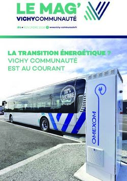 LA TRANSITION &Eacute;NERG&Eacute;TIQUE ? VICHY COMMUNAUT&Eacute; EST AU COURANT
