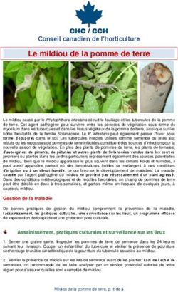 Le mildiou de la pomme de terre - Conseil canadien de l'horticulture