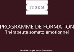 PROGRAMME DE FORMATION - Th&eacute;rapeute somato &eacute;motionnel Institut des th&eacute;rapies somato &eacute;motionnelles - ITSEM