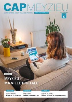 CAPMEYZIEU - MEYZIEU MA VILLE DIGITALE - Ville de Meyzieu