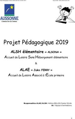 Projet Pédagogique 2019 - ALSH élémentaire " ALSONA " - La Mairie d'Aussonne