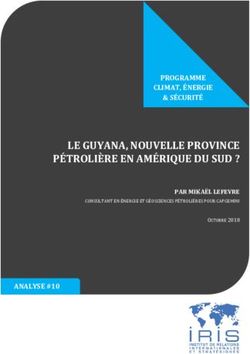 OCTOBRE 2018 CONSULTANT EN &Eacute;NERGIE ET G&Eacute;OSCIENCES P&Eacute;TROLI&Egrave;RES POUR CAPGEMINI - LE GUYANA, NOUVELLE PROVINCE P&Eacute;TROLI&Egrave;RE EN AM&Eacute;RIQUE DU SUD ? - Iris