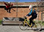 RINO Cie TWO - DOSSIER DE PRODUCTION - Artcena