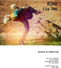 RINO Cie TWO - DOSSIER DE PRODUCTION - Artcena