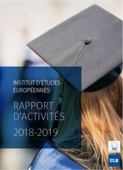 RAPPORT D'ACTIVITÉS 2018-2019 - IEE-ULB