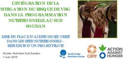 L'INT&Eacute;GRATION DE LA MITIGATION DU RISQUE DE VBG DANS LA PROGRAMMATION NUTRITIONNELLE AU SUD SOUDAN