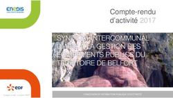 Compte-rendu d'activité 2017 - TERRITOIRE D'ENERGIE 90