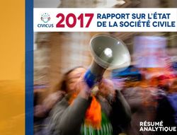 2017 Rapport sur l'état de la société civile - Civicus