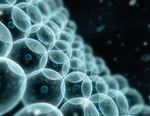 B&Eacute;B&Eacute;S G&Eacute;N&Eacute;TIQUEMENT MODIFI&Eacute;S - Enjeux &eacute;thiques soulev&eacute;s par la modification g&eacute;n&eacute;tique des cellules germinales et des embryons R&eacute;sum&eacute; et ...