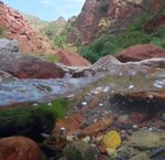 PRÉSERVER LES DERNIÈRES "RIVIÈRES SAUVAGES" MÉDITERRANÉENNES - COURS D'EAU DE CARACTÈRE SOUS PRESSION