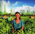Projet de loi de programmation relatif au d&eacute;veloppement solidaire et &agrave; la lutte contre les in&eacute;galit&eacute;s mondiales - Marie Trellu-Kane et Olivier ...