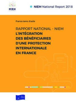 RAPPORT NATIONAL - NIEM L'INTÉGRATION DES BÉNÉFICIAIRES D'UNE PROTECTION INTERNATIONALE EN FRANCE - NIEM National Report 2018 - niem ...