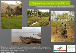 Diagnostic agraire et études filières - District des Cataractes