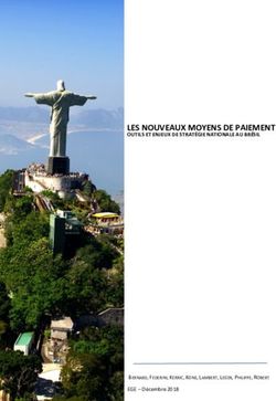 LES NOUVEAUX MOYENS DE PAIEMENT - OUTILS ET ENJEUX DE STRATÉGIE NATIONALE AU BRÉSIL - Infoguerre