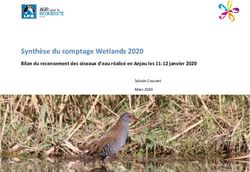 Synth&egrave;se du comptage Wetlands 2020 - Bilan du recensement des oiseaux d'eau r&eacute;alis&eacute; en Anjou les 11-12 janvier 2020