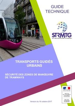 TRANSPORTS GUIDÉS SÉCURITÉ DES ZONES DE MANŒUVRE DE TRAMWAYS - Version du jour mois année - strmtg