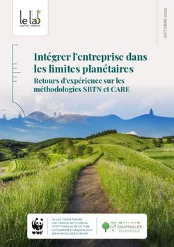 Int&eacute;grer l'entreprise dans les limites plan&eacute;taires - Retours d'exp&eacute;rience sur les m&eacute;thodologies SBTN et CARE