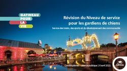 Révision du Niveau de service pour les gardiens de chiens - Service des loisirs, des sports et du développement des communautés Comité plénier ...