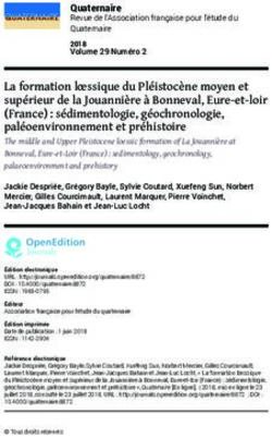 La formation loessique du Pléistocène moyen et supérieur de la Jouannière à Bonneval, Eure et loir (France) : sédimentologie, géochronologie ...