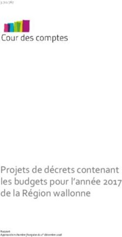 Projets de décrets contenant les budgets pour l'année 2017 de la Région wallonne
