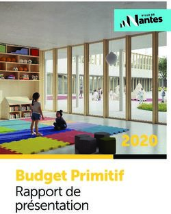 Budget Primitif Rapport de présentation 2020 - Ville de Nantes