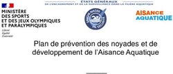 Plan de pr&eacute;vention des noyades et de d&eacute;veloppement de l'Aisance Aquatique
