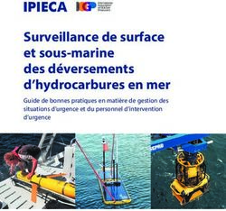 Surveillance de surface et sous-marine des déversements d'hydrocarbures en mer - Guide de bonnes pratiques en matière de gestion des situations ...