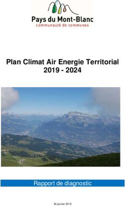 Plan Climat Air Energie Territorial 2019 2024 - Rapport De Diagnostic ...