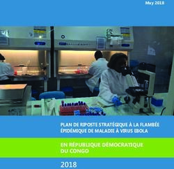 2018 PLAN DE RIPOSTE STRAT&Eacute;GIQUE &Agrave; LA FLAMB&Eacute;E &Eacute;PID&Eacute;MIQUE DE MALADIE &Agrave; VIRUS EBOLA EN R&Eacute;PUBLIQUE D&Eacute;MOCRATIQUE DU CONGO