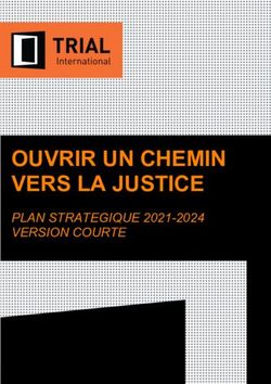 OUVRIR UN CHEMIN VERS LA JUSTICE - PLAN STRATEGIQUE 2021-2024 VERSION COURTE - TRIAL International