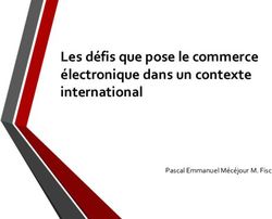 Les défis que pose le commerce électronique dans un contexte international - Pascal Emmanuel Mécéjour M. Fisc