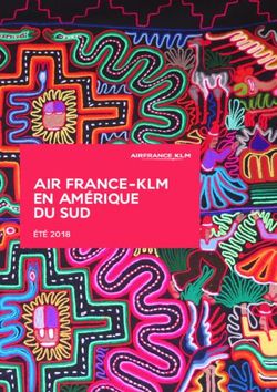 AIR FRANCE-KLM EN AMÉRIQUE DU SUD - ÉTÉ 2018