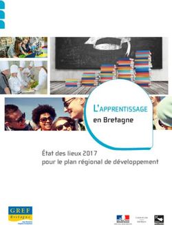 L'apprentissage en Bretagne - État des lieux 2017 pour le plan régional de développement - Etat des lieux 2017 pour le plan ...