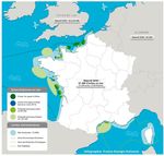 L'&eacute;olien en mer pos&eacute; et l'&eacute;olien en mer flottant en France